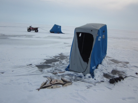 Bob's fish and tent